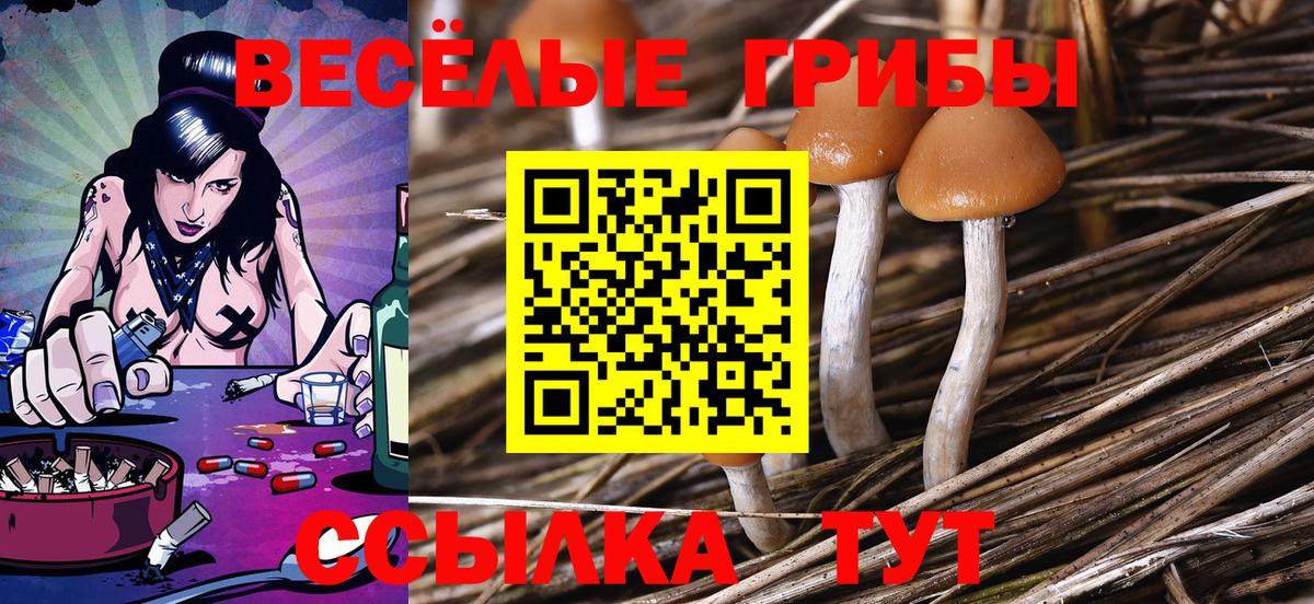 Галлюциногенные грибы Magic Shrooms  Псилоцибиновые грибы Psilocybe  Бугуруслан  наркотики  Вход с VPN 